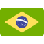 Argentina flag icon