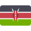 Argentina flag icon